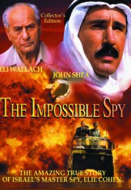 Affiche de The Impossible Spy