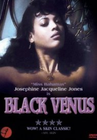 Affiche de La Vénus noire
