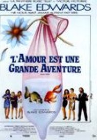 Affiche de L'Amour est une grande aventure