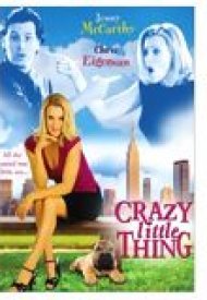 Affiche de Crazy Little Thing