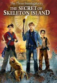 Affiche de Les trois jeunes détectives : le secret de l'île aux fantômes