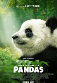 Affiche de Pandas