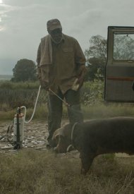 Affiche de Sr. Pig