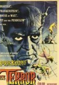 Affiche de L'Halluciné