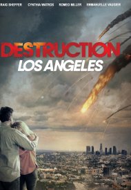 Affiche de Destruction Los Angeles