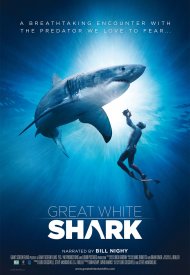 Affiche de Requins blancs 3D