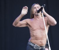 Iggy Pop