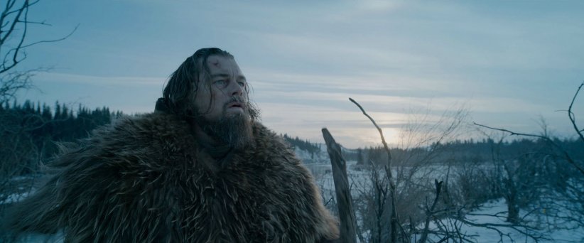 The Revenant (2015) The Revenant (2015)