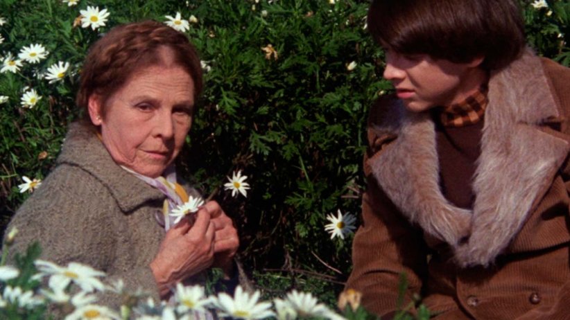 "Harold et Maude" : une relation qui a fait scandale "Harold et Maude" : une relation qui a fait scandale