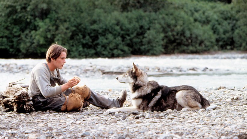 Jack Conroy et Croc-Blanc dans "Croc-Blanc" (1991) Jack Conroy et Croc-Blanc dans "Croc-Blanc" (1991)