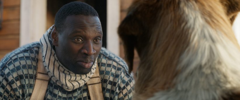 "L'Appel de la forêt", au cinéma le 19 février 2020 "L'Appel de la forêt", au cinéma le 19 février 2020
