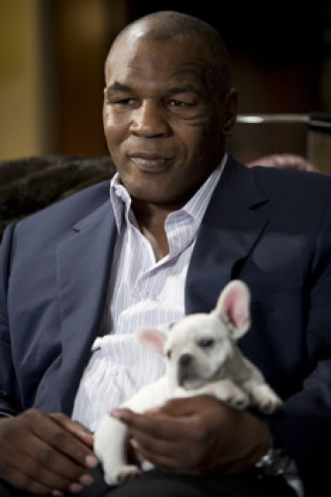 Mike Tyson dans Very Bad Trip Mike Tyson dans Very Bad Trip