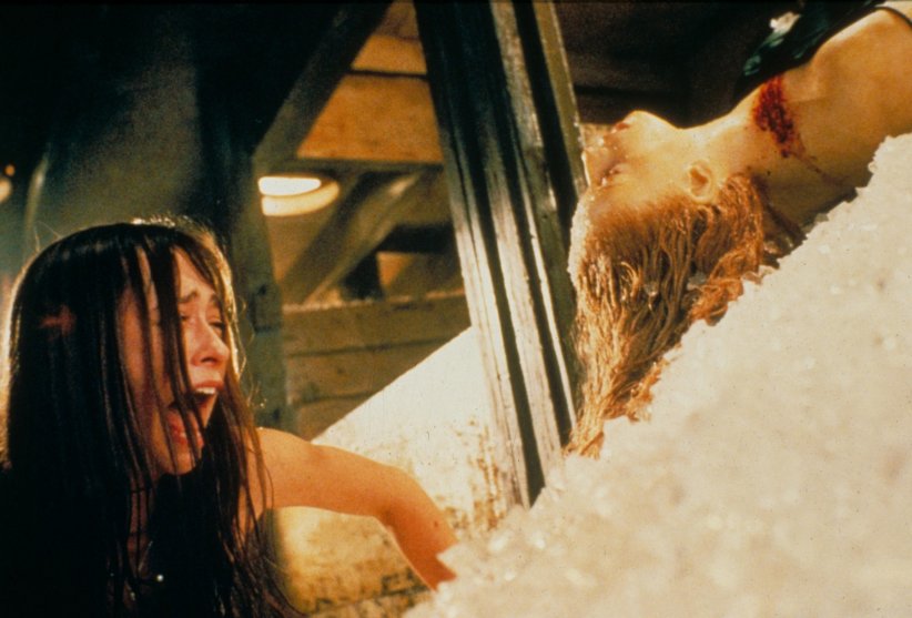 "I Know What You Did Last Summer" : le slasher culte adapté en série pour Prime Video "I Know What You Did Last Summer" : le slasher culte adapté en série pour Prime Video