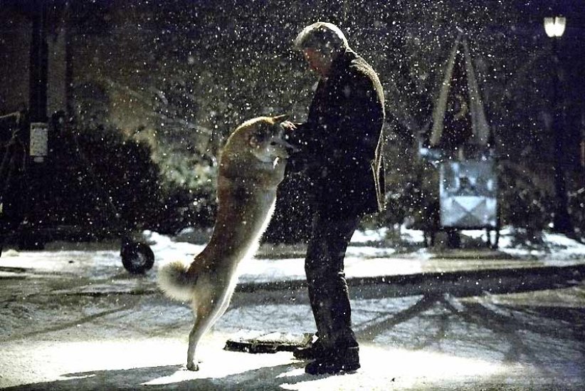 "Hatchi" (2009) de Lasse Hallström "Hatchi" (2009) de Lasse Hallström