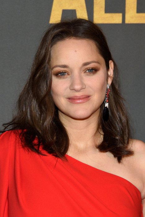 Marion Cotillard : une année chargée Marion Cotillard : une année chargée