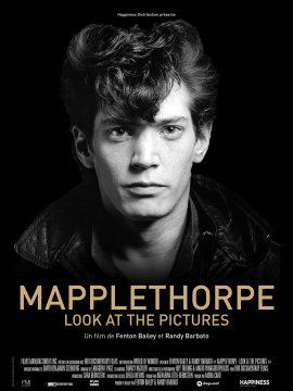 Mapplethorpe : Look at the Pictures