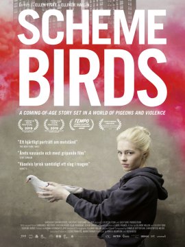À se Brûler les Ailes