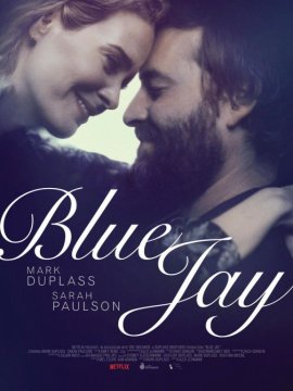 Blue Jay