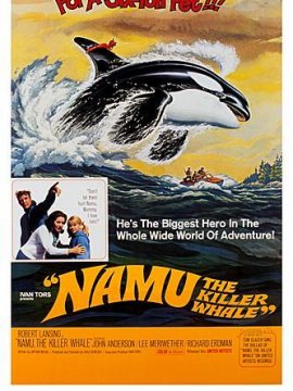 Namu, l'orque sauvage