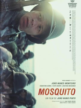Mosquito