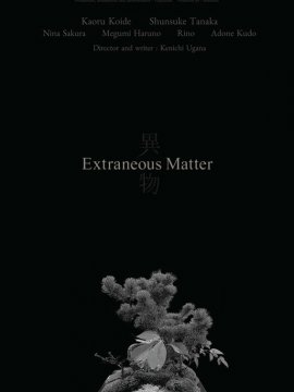 Extraneous Matter