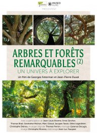 Arbres et forêts Remarquables, un univers à explorer