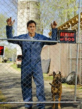 Junkyard Dog