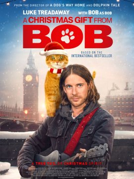 Joyeux Noël Bob