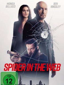 Spider in the Web