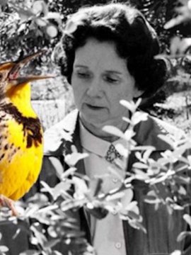 Rachel Carson, la mère de l'écologie