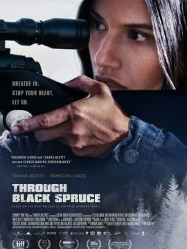 Through Black Spruce