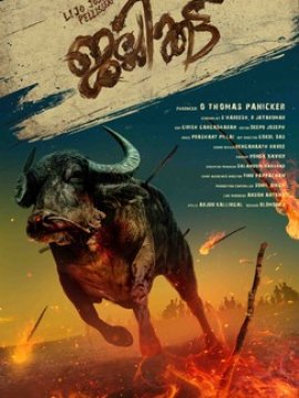 Jallikattu