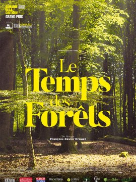Le Temps des forêts