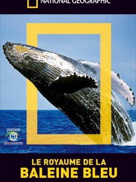 Le Royaume de la baleine bleue