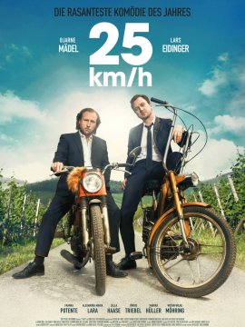 25 km/h