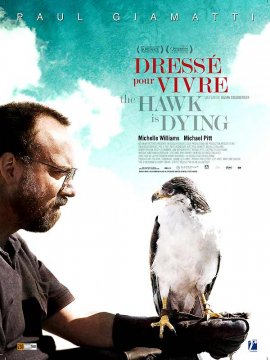 The Hawk is Dying - Dressé pour vivre