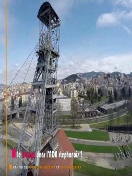 Le Design dans l'ADN stéphanois ?