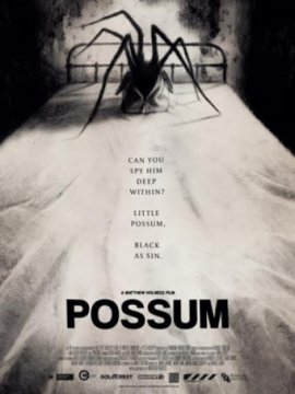 Possum