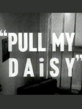 Pull my Daisy