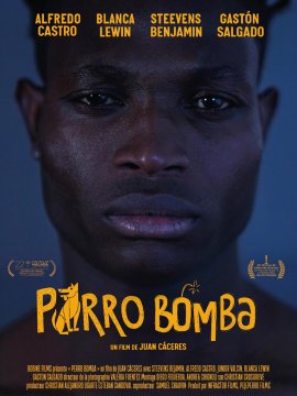 Perro Bomba