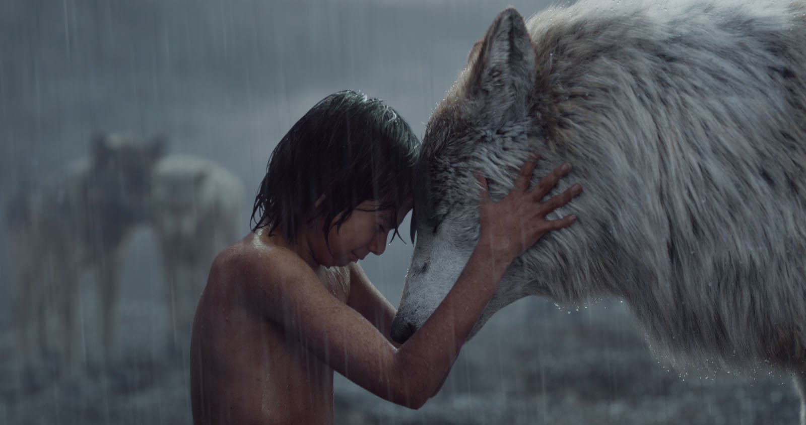 Mowgli et Rakcha dans Le Livre de la Jungle de Jon Favreau