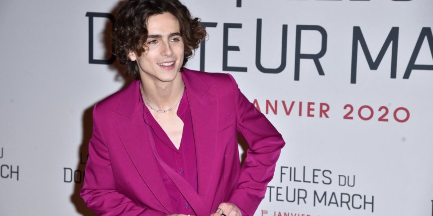 Timothée Chalamet à la première du film
