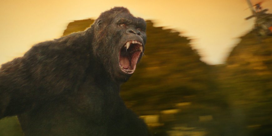 King Kong dans