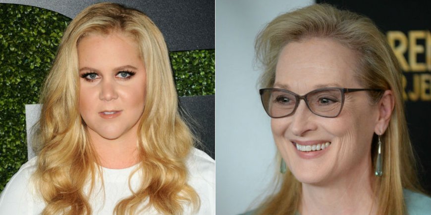 Amy Schumer à la soirée GQ Men of the Year à Los Angeles, en décembre 2015 / Meryl Streep à l'avant-première de