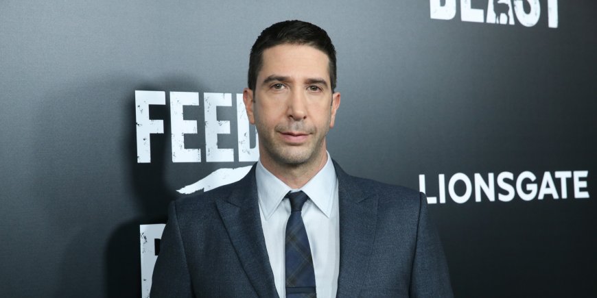 David Schwimmer à une projection de