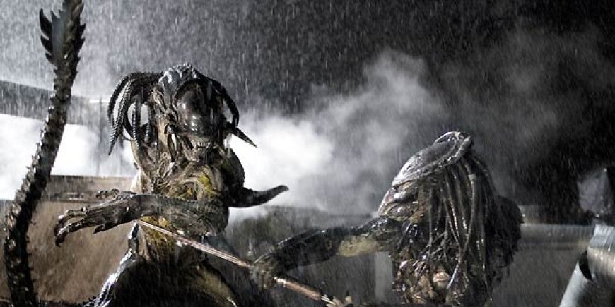 Des Predators dans