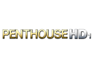 PENTHOUSE GOLD programme tv PENTHOUSE GOLD