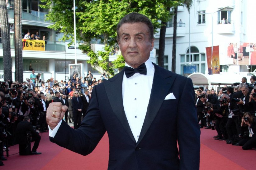 Sylvester Stallone a tristement vendu son chien pour s'en sortir Sylvester Stallone a tristement vendu son chien pour s'en sortir