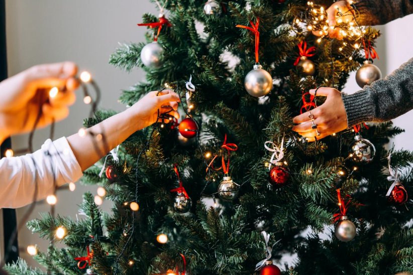 Oublier de vérifier l'état des décorations du sapin Oublier de vérifier l'état des décorations du sapin