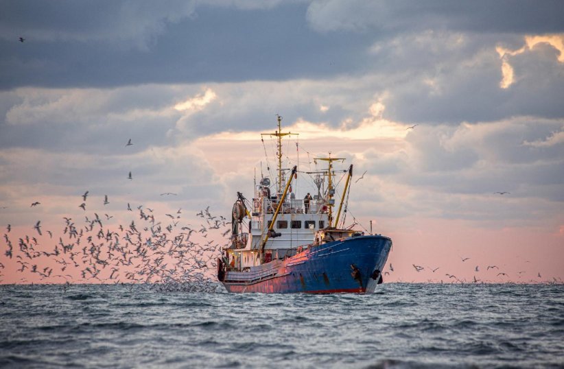 La pêche représente une grande part de la pollution mondiale La pêche représente une grande part de la pollution mondiale